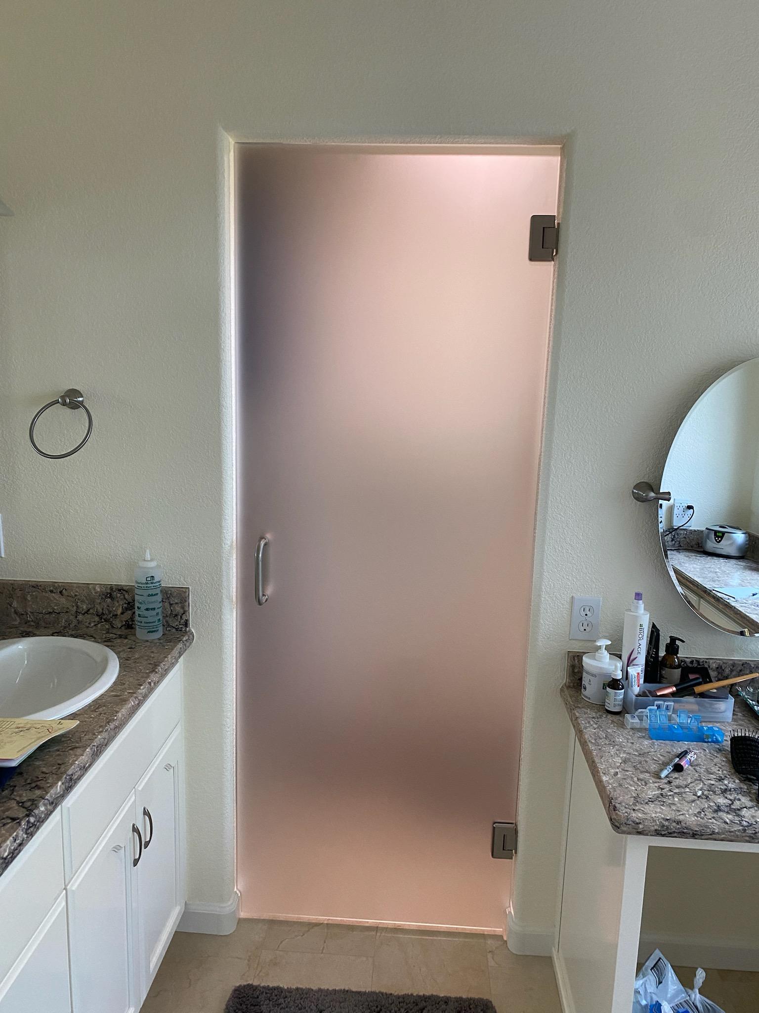 Single Shower Door